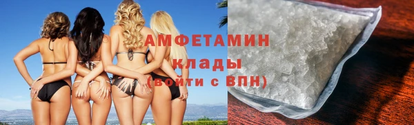 индика Мегион