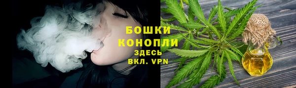 индика Мегион