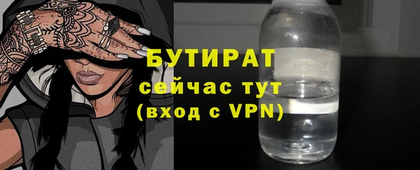 индика Мегион
