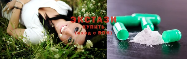 индика Мегион