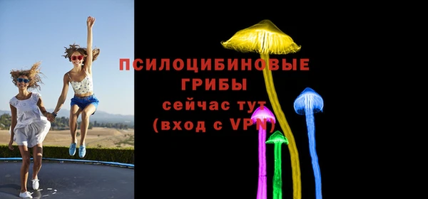 spice Медвежьегорск