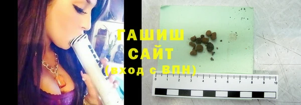 индика Мегион