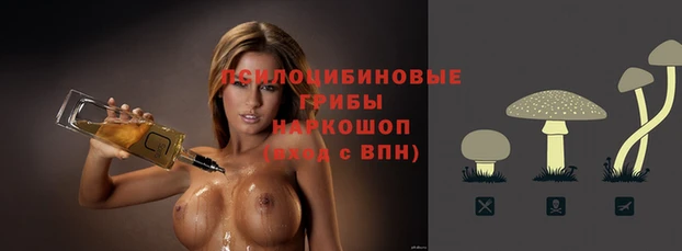индика Мегион