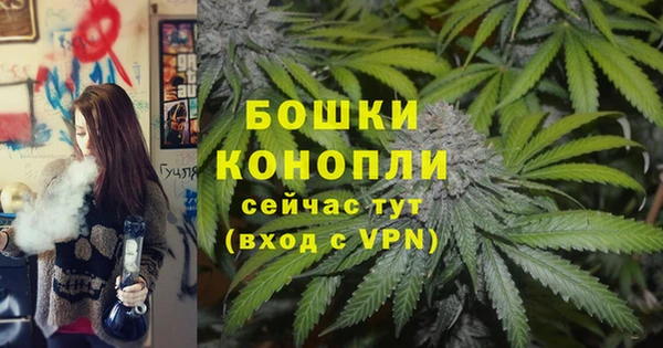 хмурый Медногорск