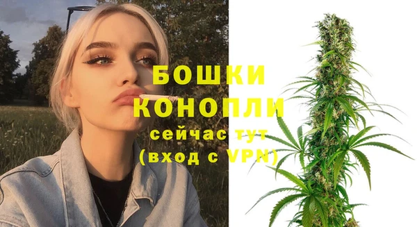 хмурый Медногорск