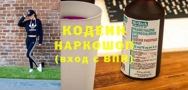 индика Мегион
