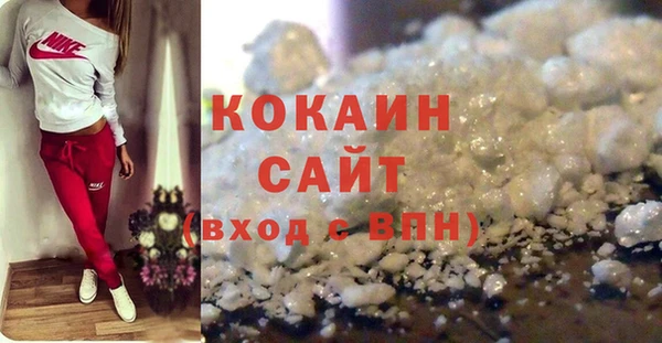индика Мегион