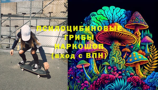 хмурый Медногорск