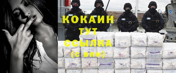 индика Мегион