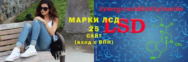 индика Мегион
